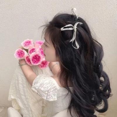 好家伙先生